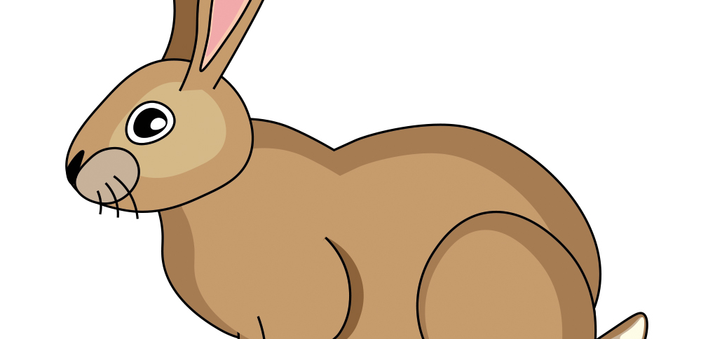 learn to draw a rabbit