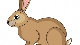 learn to draw a rabbit