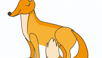 lär dig rita en räv