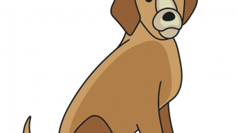 lär dig rita en hund