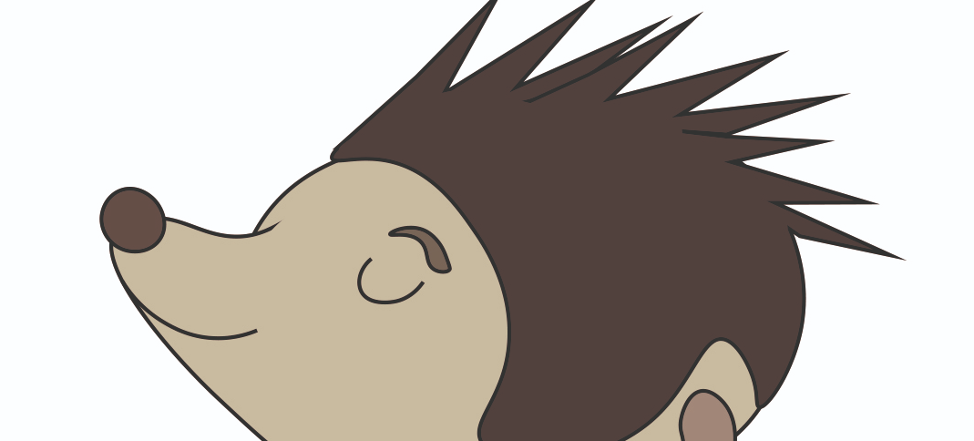 lär dig rita en igelkott