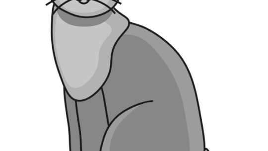 lär dig rita en katt