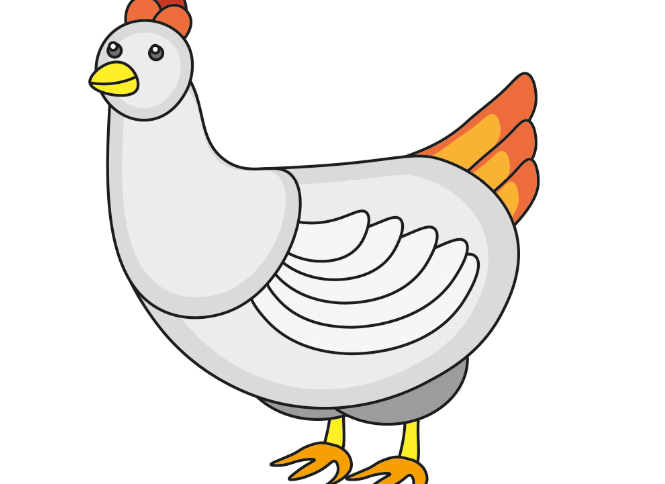 lär dig rita en kyckling