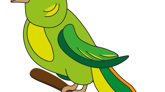 Måla en papegoja