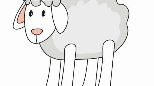 lär dig rita ett får